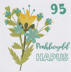 Penblwydd Hapus - 95