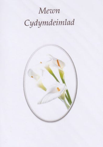 Mewn Cydymdeimlad