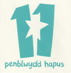 Penblwydd Hapus - 11