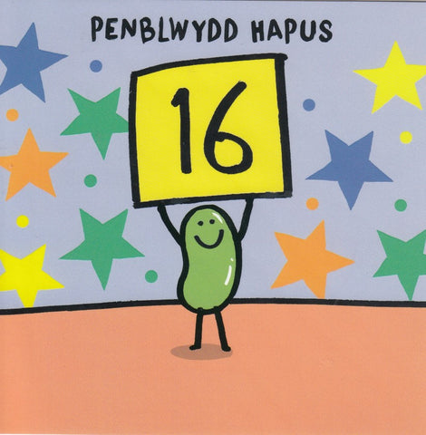 Penblwydd Hapus - 16