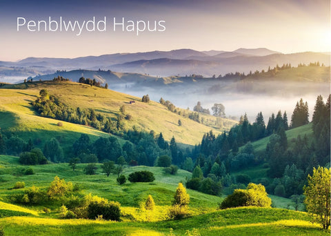 Penblwydd Hapus