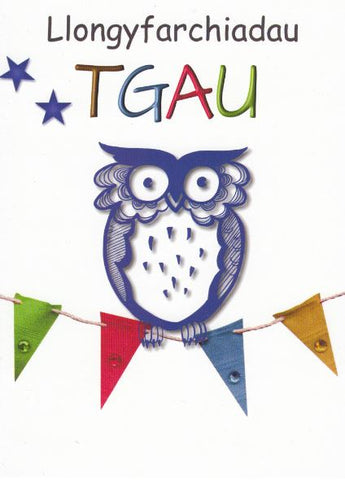 Llongyfarchiadau TGAU