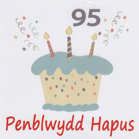 Penblwydd Hapus - 95