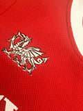 Kids Welsh Sports Kit|Crys a Siorts Chwareuon