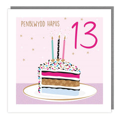 Penblwydd Hapus - 13