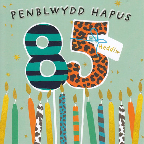 Penblwydd Hapus - 85
