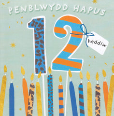 Penblwydd Hapus - 12