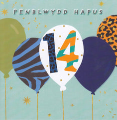 Penblwydd Hapus - 14