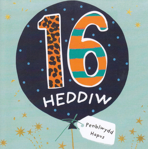 Penblwydd Hapus - 16
