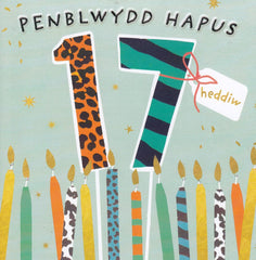 Penblwydd Hapus 17