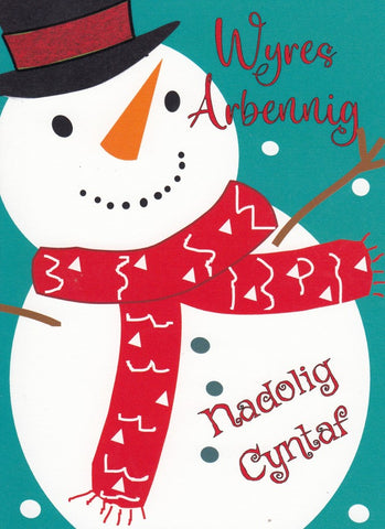 Wyres Arbennig, Nadolig Cyntaf