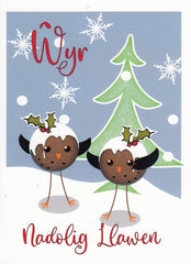 Nadolig Llawen Wyr