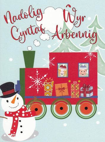 Wyr Arbennig, Nadolig Cyntaf