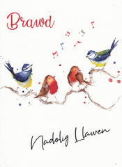 Nadolig Llawen Brawd